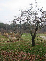 IMG_4457.JPG